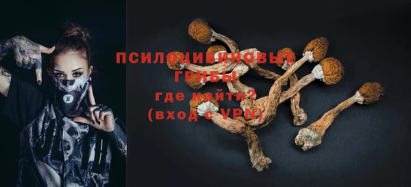соль ск Чердынь