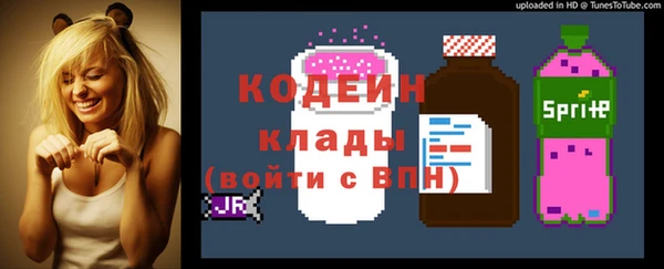 spice Гусиноозёрск