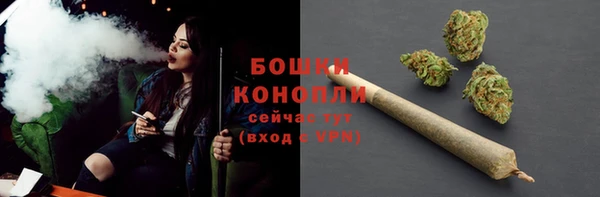 твердый Горнозаводск