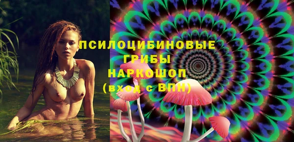 кристаллы Гусев