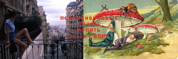 кристаллы Гусев