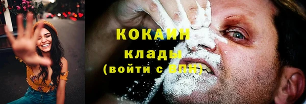 spice Гусиноозёрск