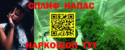 крисы Коммунар