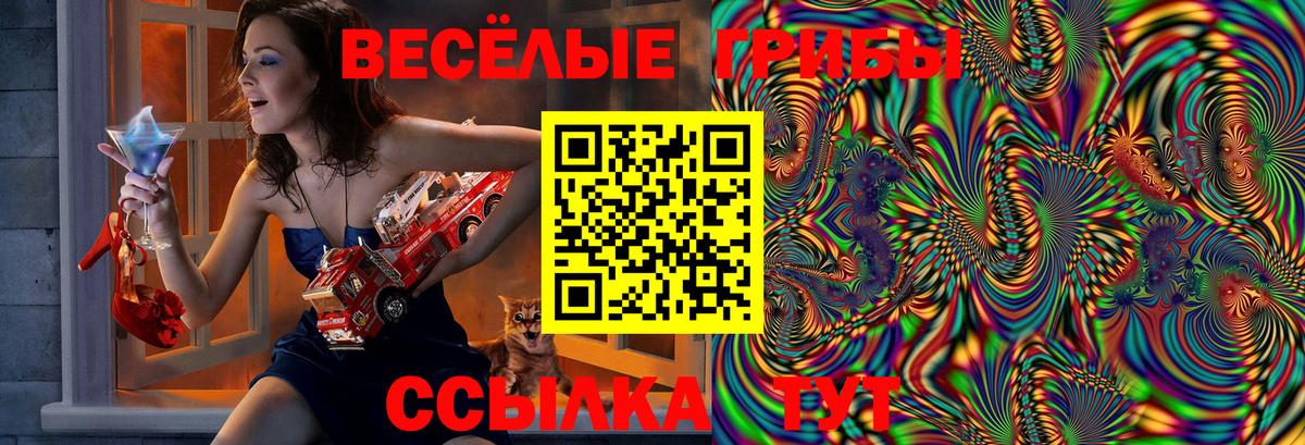 Псилоцибиновые грибы Psilocybine cubensis  Вход с VPN  Псилоцибиновые грибы Magic Shrooms  Северск 