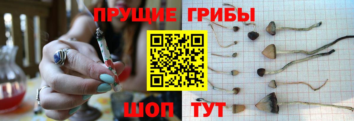 Псилоцибиновые грибы Magic Shrooms Северск